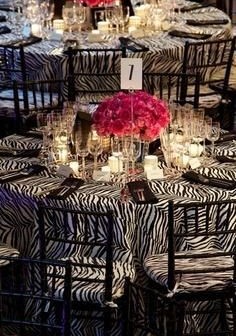 zebra 1
