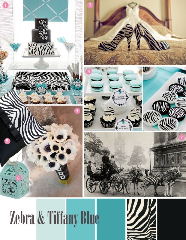 zebra 2